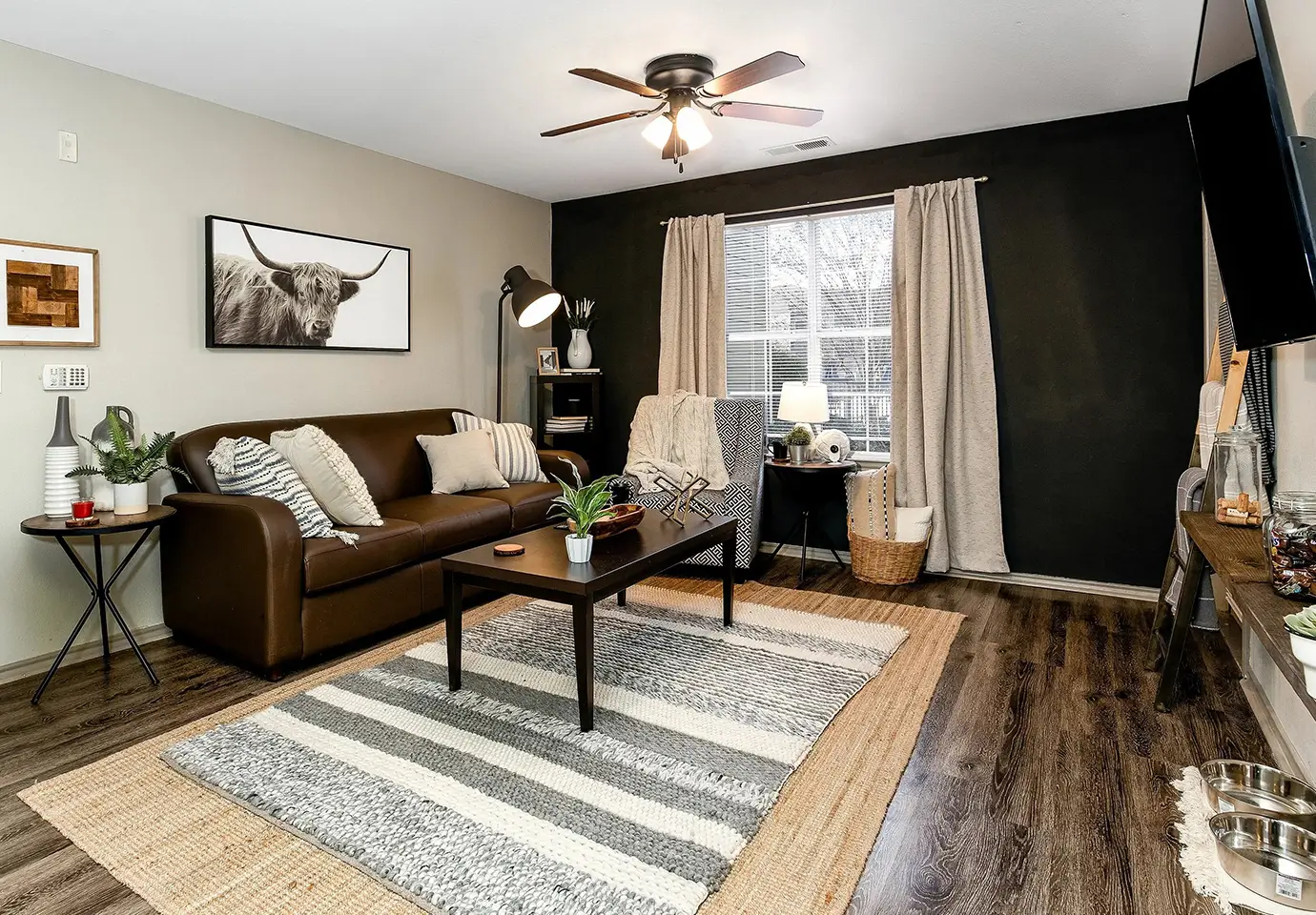 furnished living space