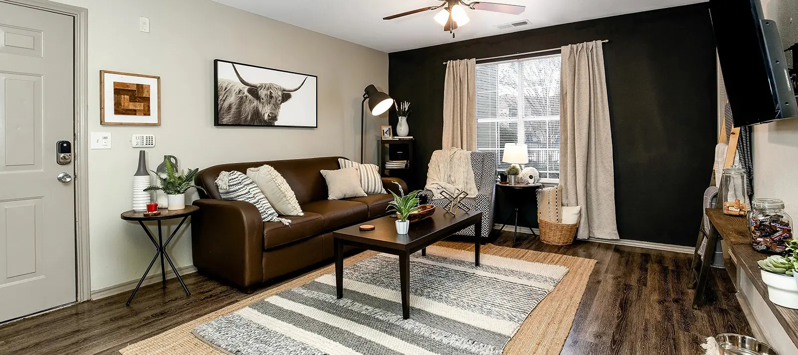 furnished living space